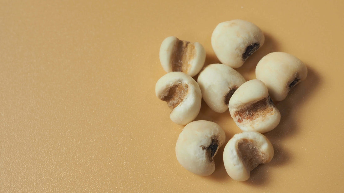 Hatomugi (Coix Seed) - INÉ